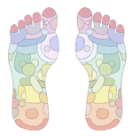ReflexologyFootChart Foot chart displaying the regions of the foot